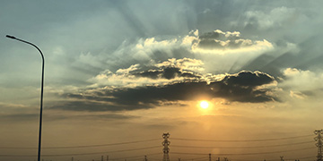 横山小麦技术优势